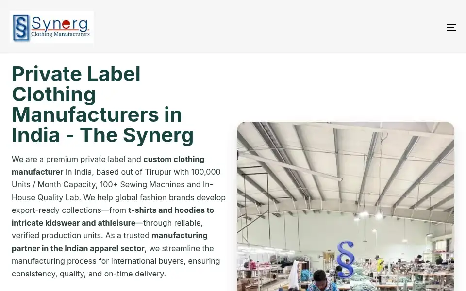 Screenshot of thesynerg.com