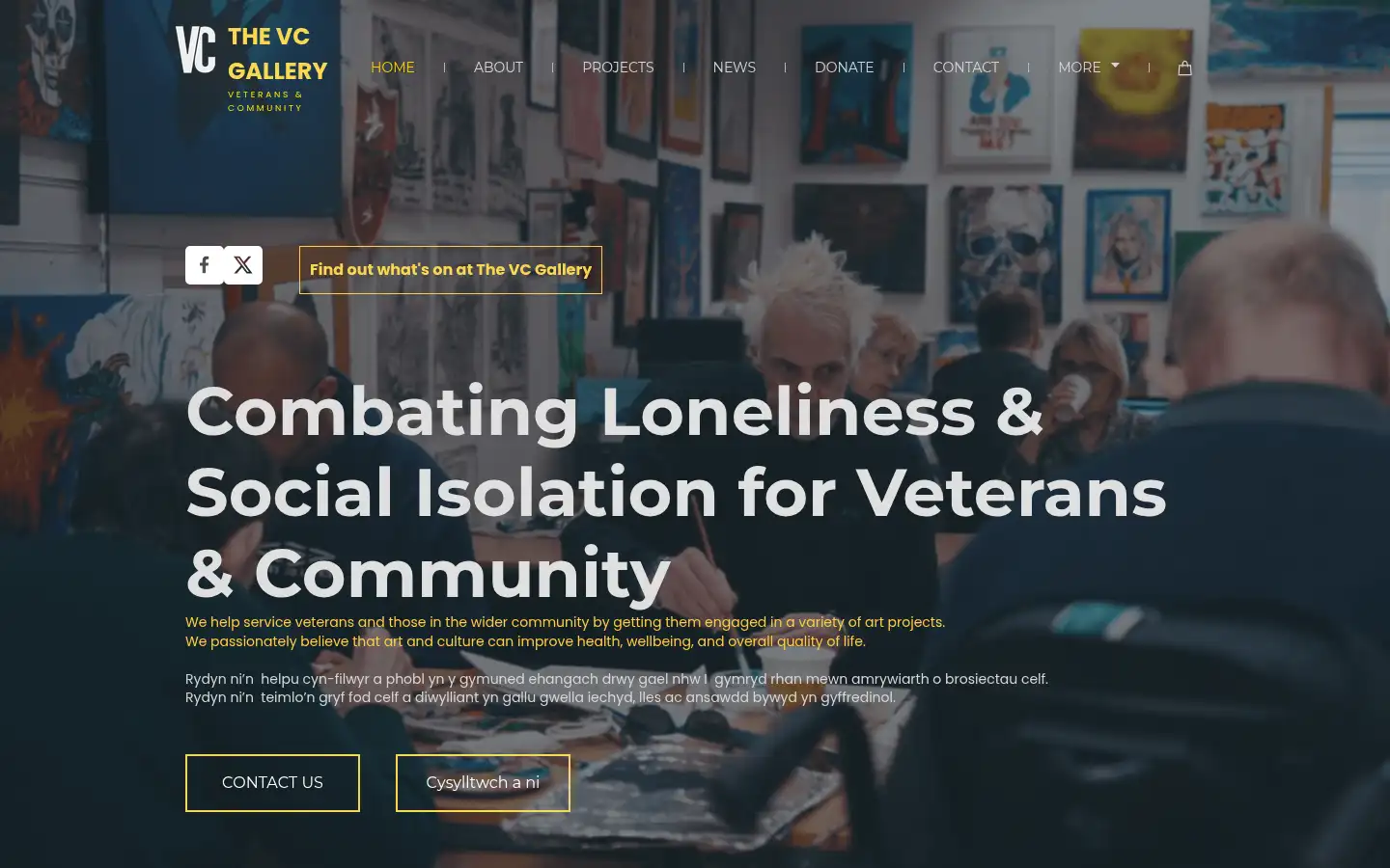 Screenshot of thevcgallery.com