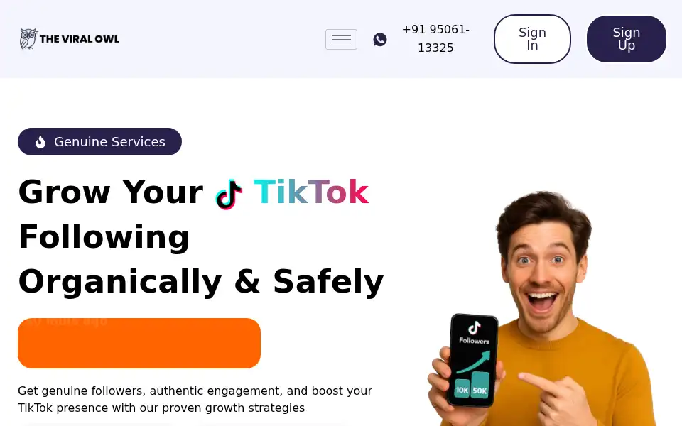 Screenshot of theviralowl.com