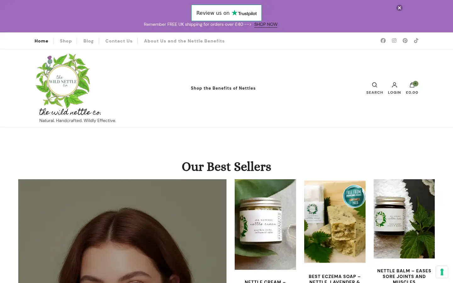 Screenshot of thewildnettleco.com