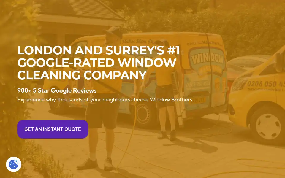 Screenshot of thewindowbrothers.co.uk