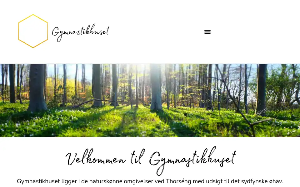 Screenshot of thorseng.dk