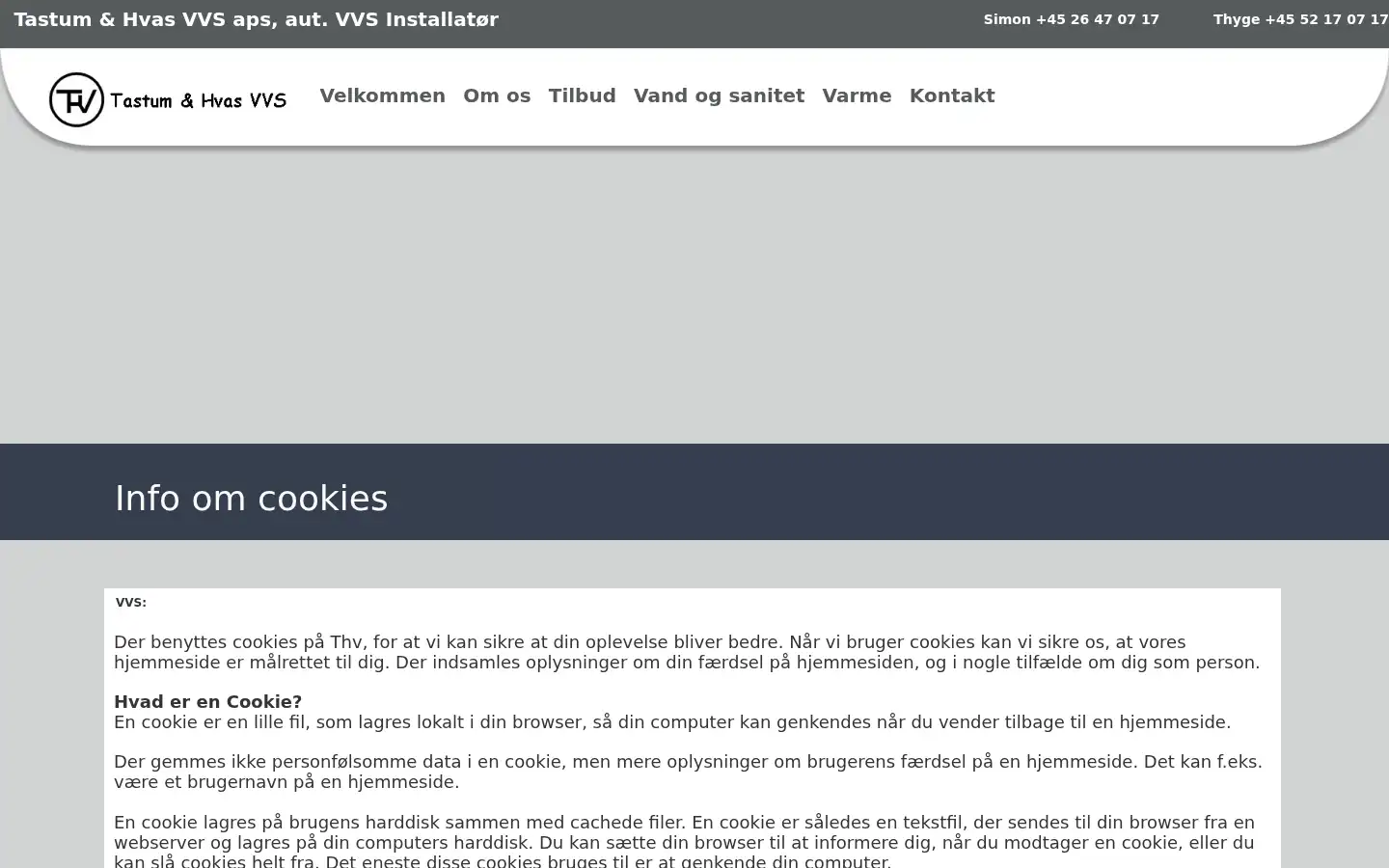 Screenshot of thv.dk