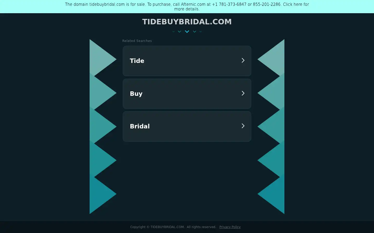 Screenshot of tidebuybridal.com