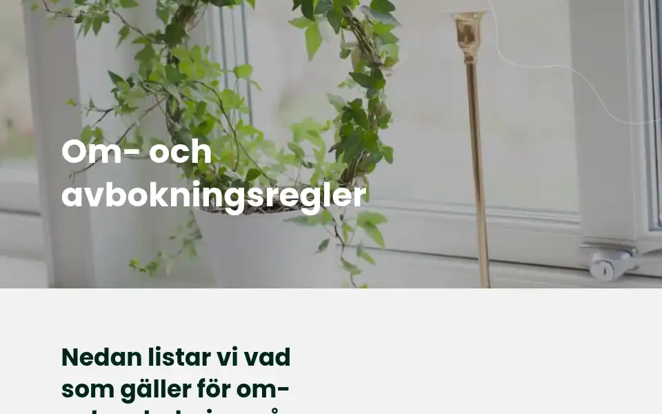 Screenshot of tidy.nu