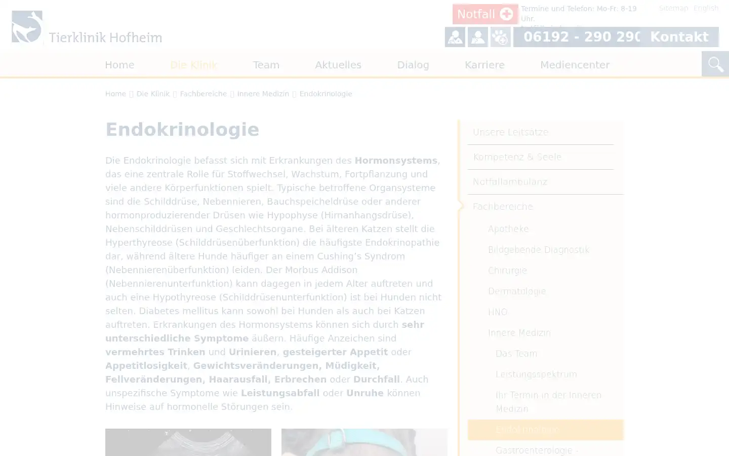 Screenshot of tierklinik-hofheim.de