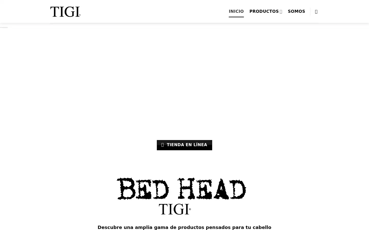 Screenshot of tigi.gt