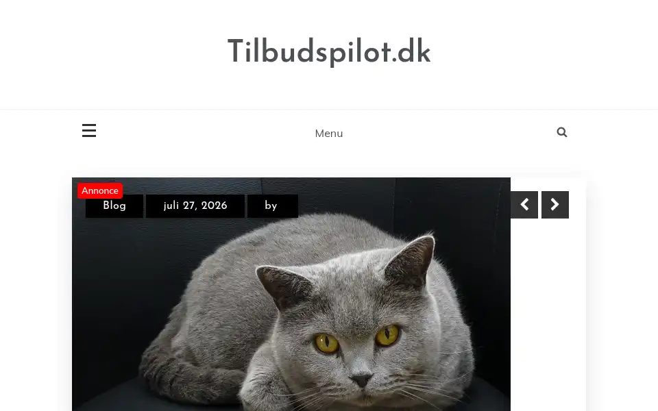 Screenshot of tilbudspilot.dk