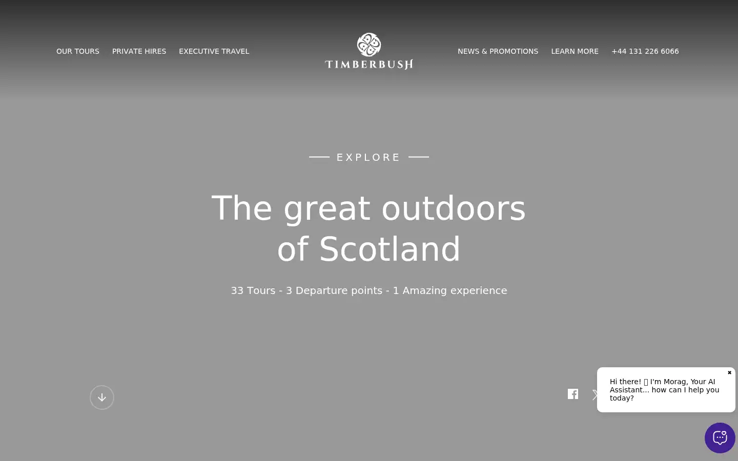 Screenshot of timberbushtours.com