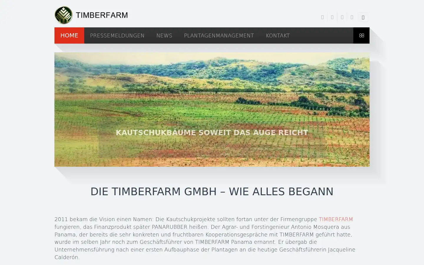 Screenshot of timberfarm-gmbh.de