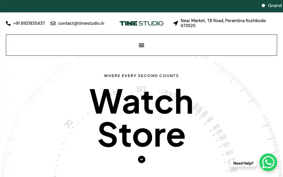Screenshot of timestudio.in
