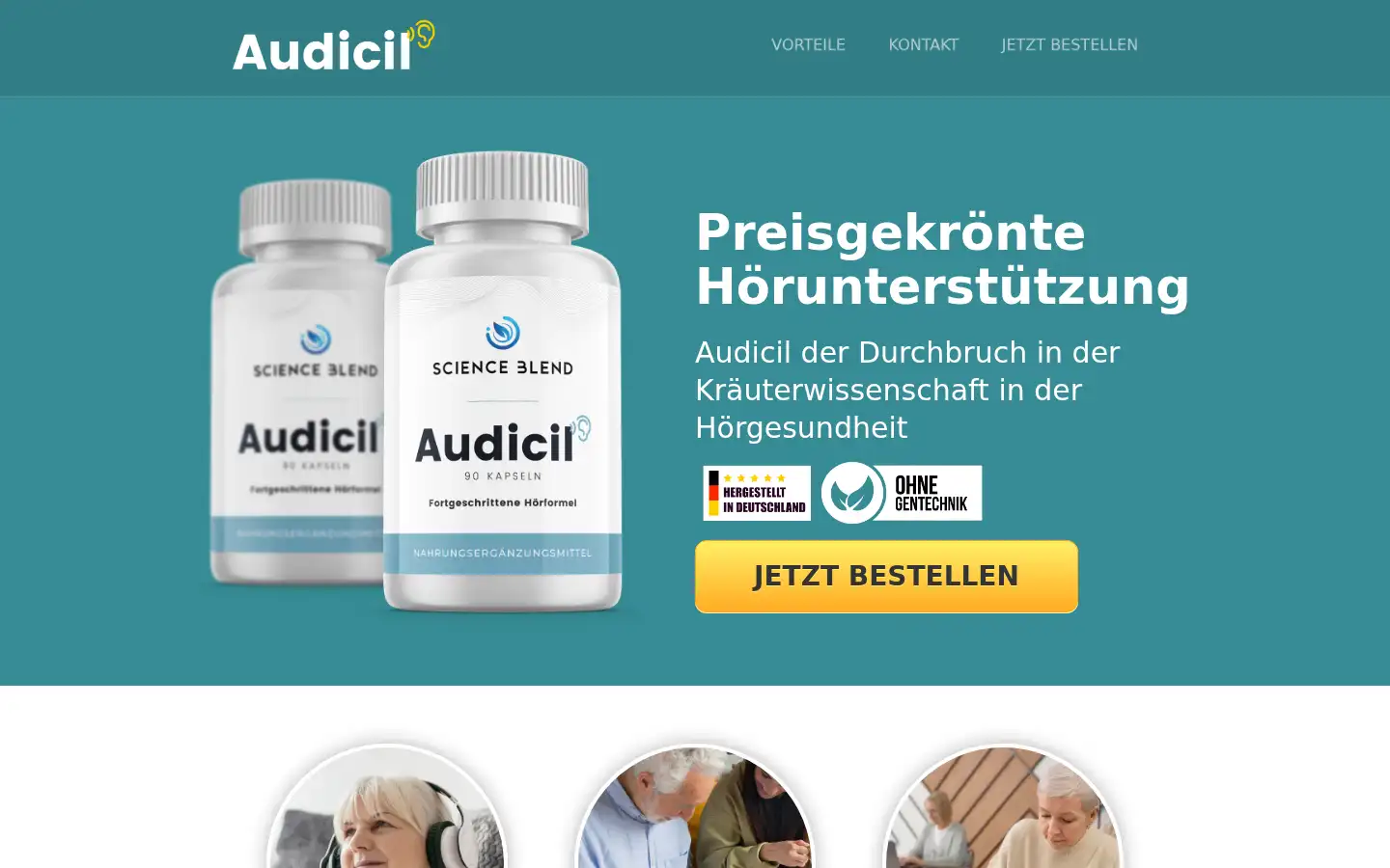 Screenshot of tinnitusunterdrucken.com