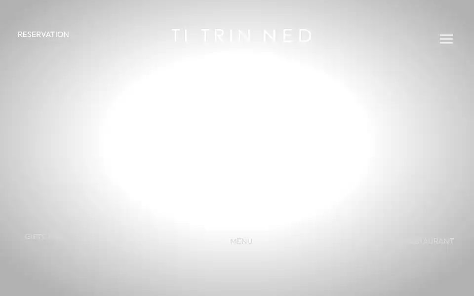 Screenshot of titrinned.dk