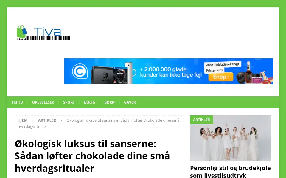 Screenshot of tiva.dk