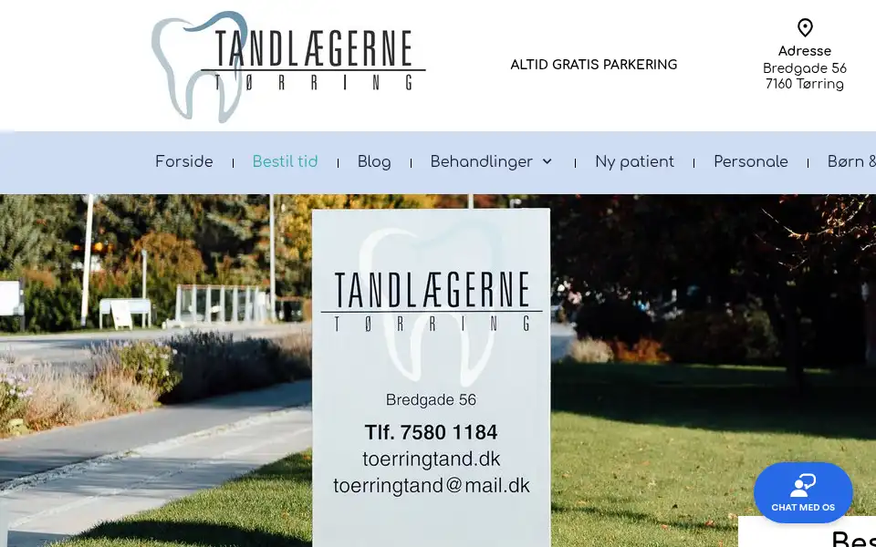Screenshot of toerringtand.dk