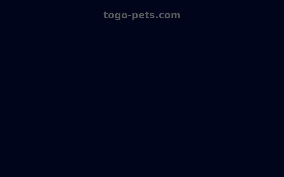 Screenshot of togo-pets.com