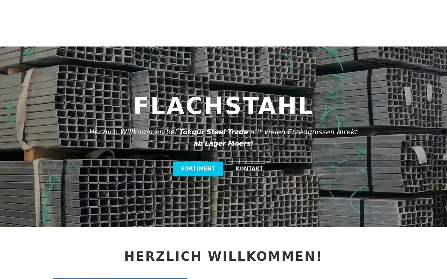 Screenshot of tokguer.de