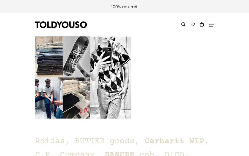 Screenshot of toldyouso.dk