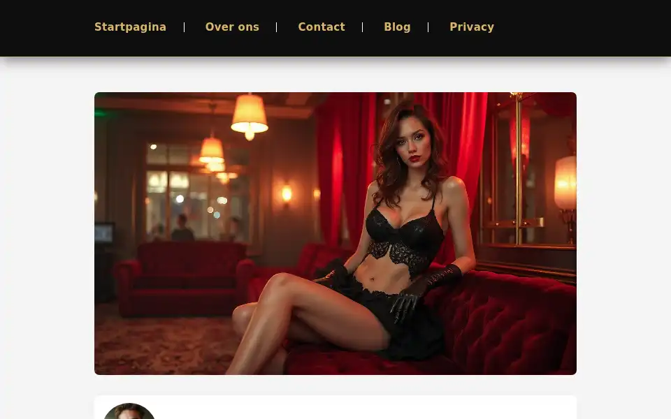 Screenshot of tonerproductsnederland.nl