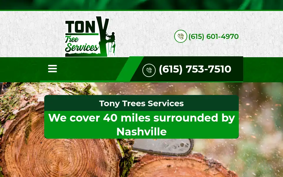 Screenshot of tonytreesservices.us
