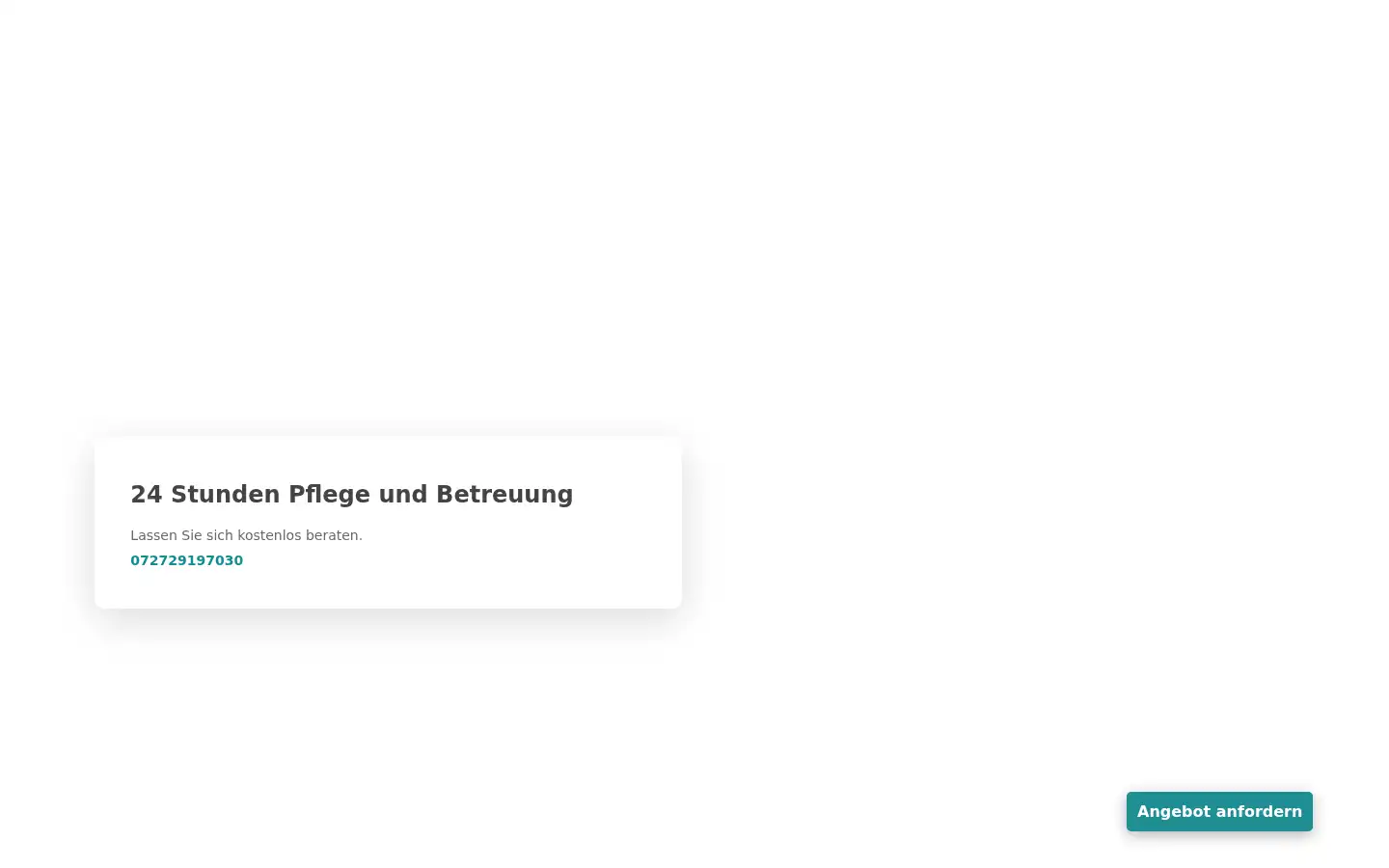 Screenshot of top-pflege24.com