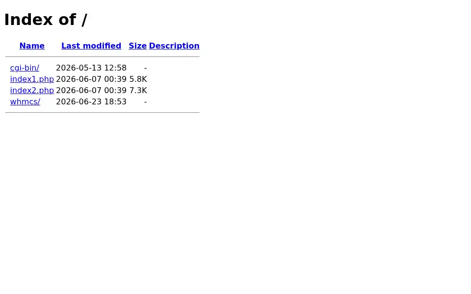 Screenshot of topaihosting.in