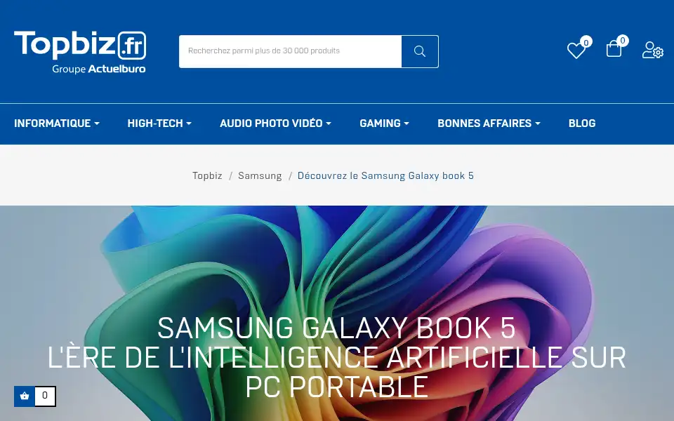 Screenshot of topbiz.fr