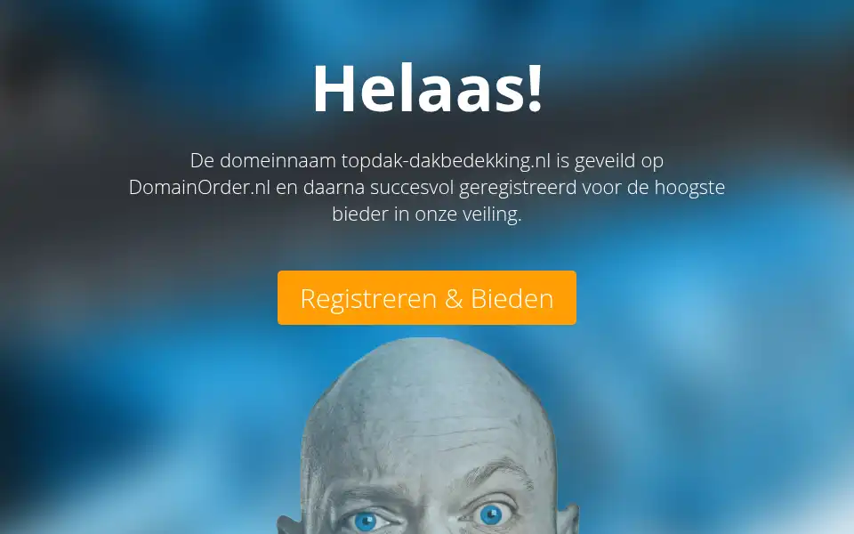 Screenshot of topdak-dakbedekking.nl