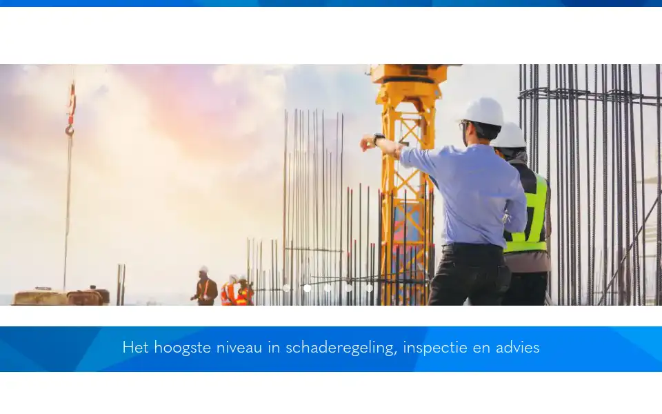 Screenshot of topexpertise.nl