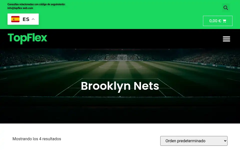 Screenshot of topflex-web.com