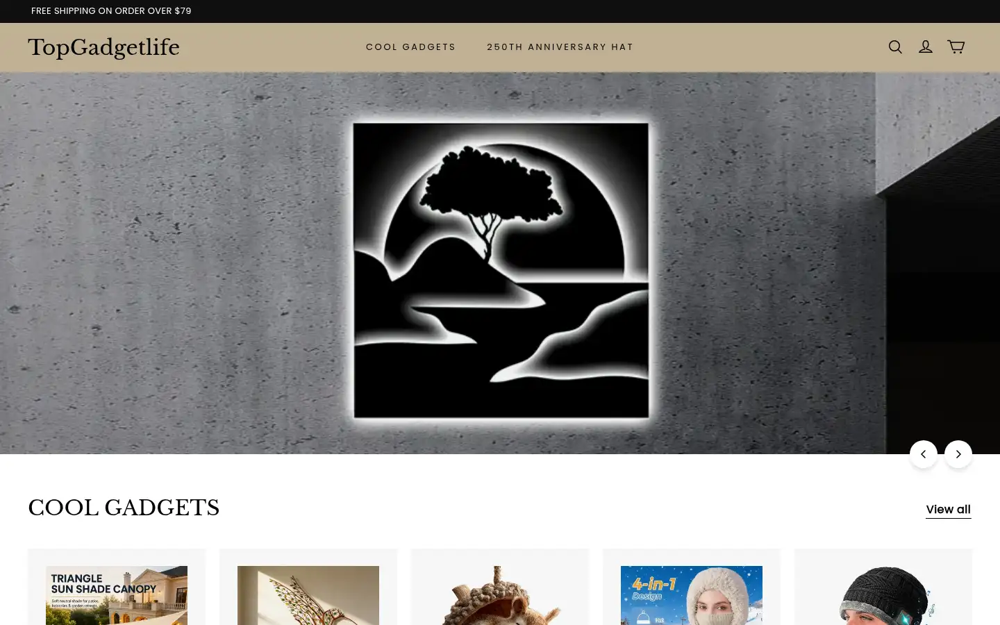 Screenshot of topgadgetlife.com