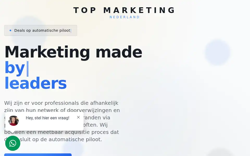 Screenshot of topmarketingnederland.nl