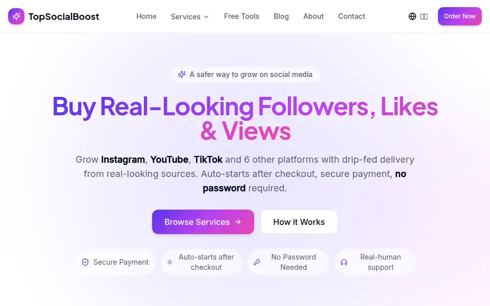 Screenshot of topsocialboost.com