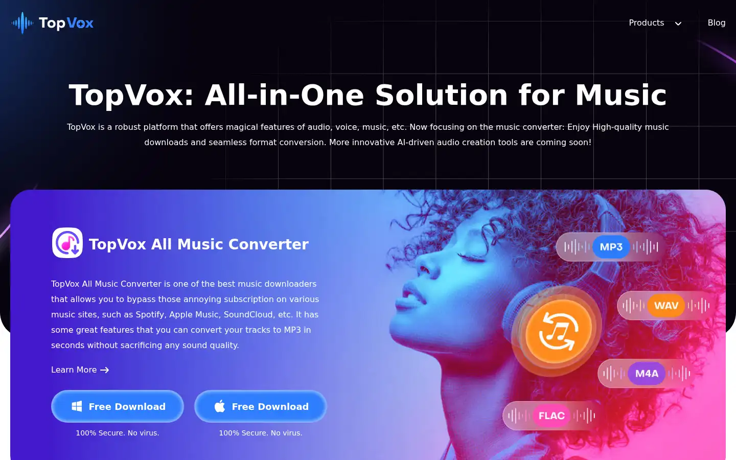 Screenshot of topvox.ai