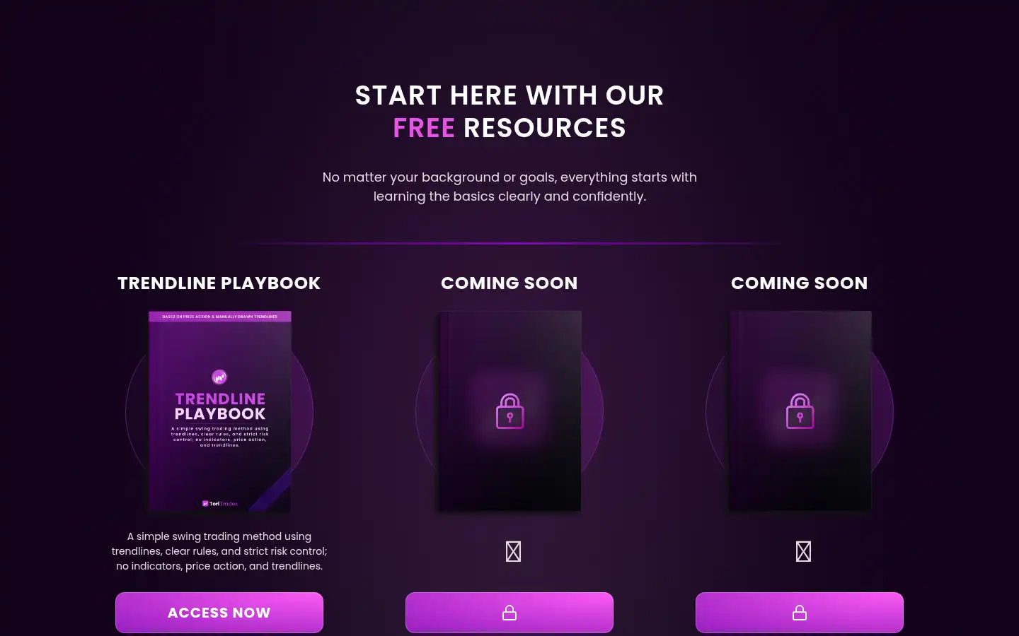 Screenshot of toritradez.com