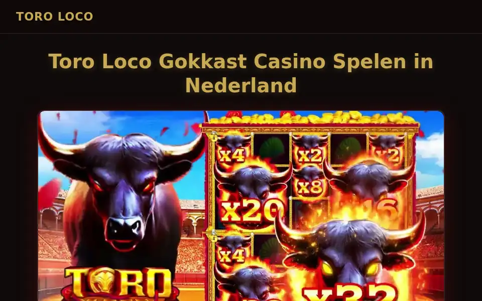 Screenshot of toroloco.org