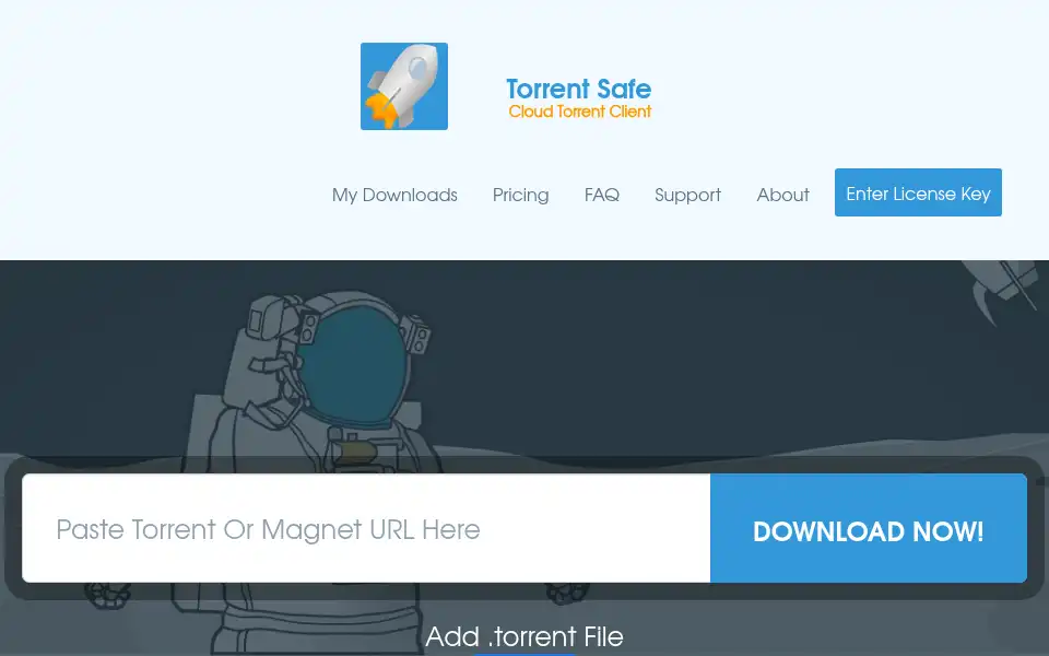 Screenshot of torrentsafe.com