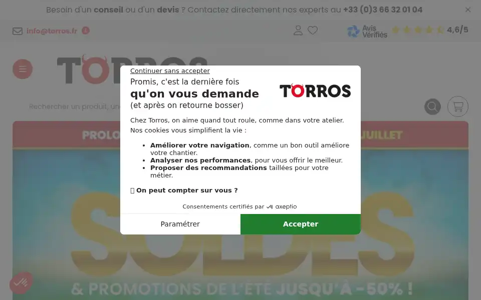 Screenshot of torros.fr