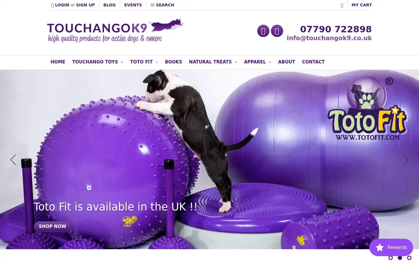 Screenshot of touchangok9.co.uk