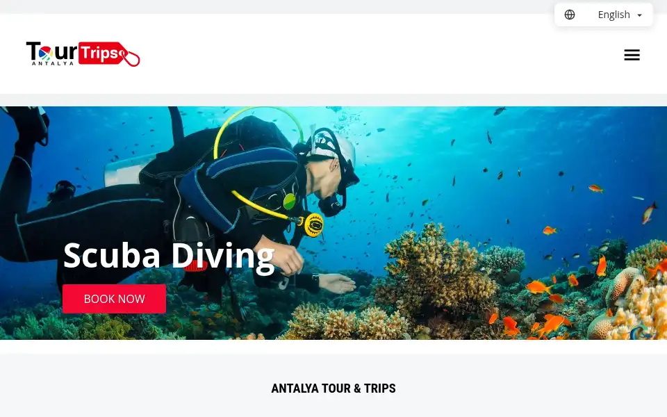 Screenshot of tour-trips.com