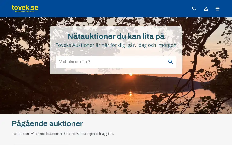 Screenshot of tovek.se
