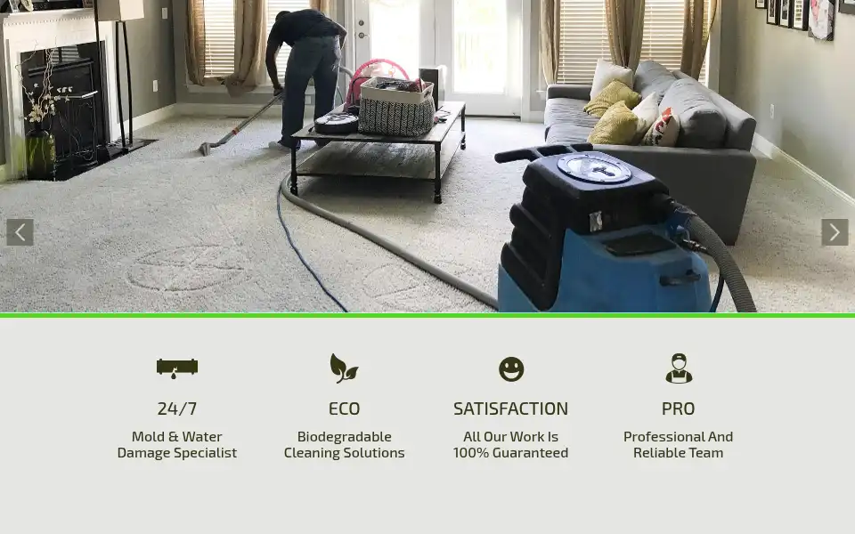Screenshot of towsoncarpetcleaningmd.com
