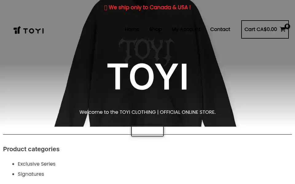 Screenshot of toyi.ca