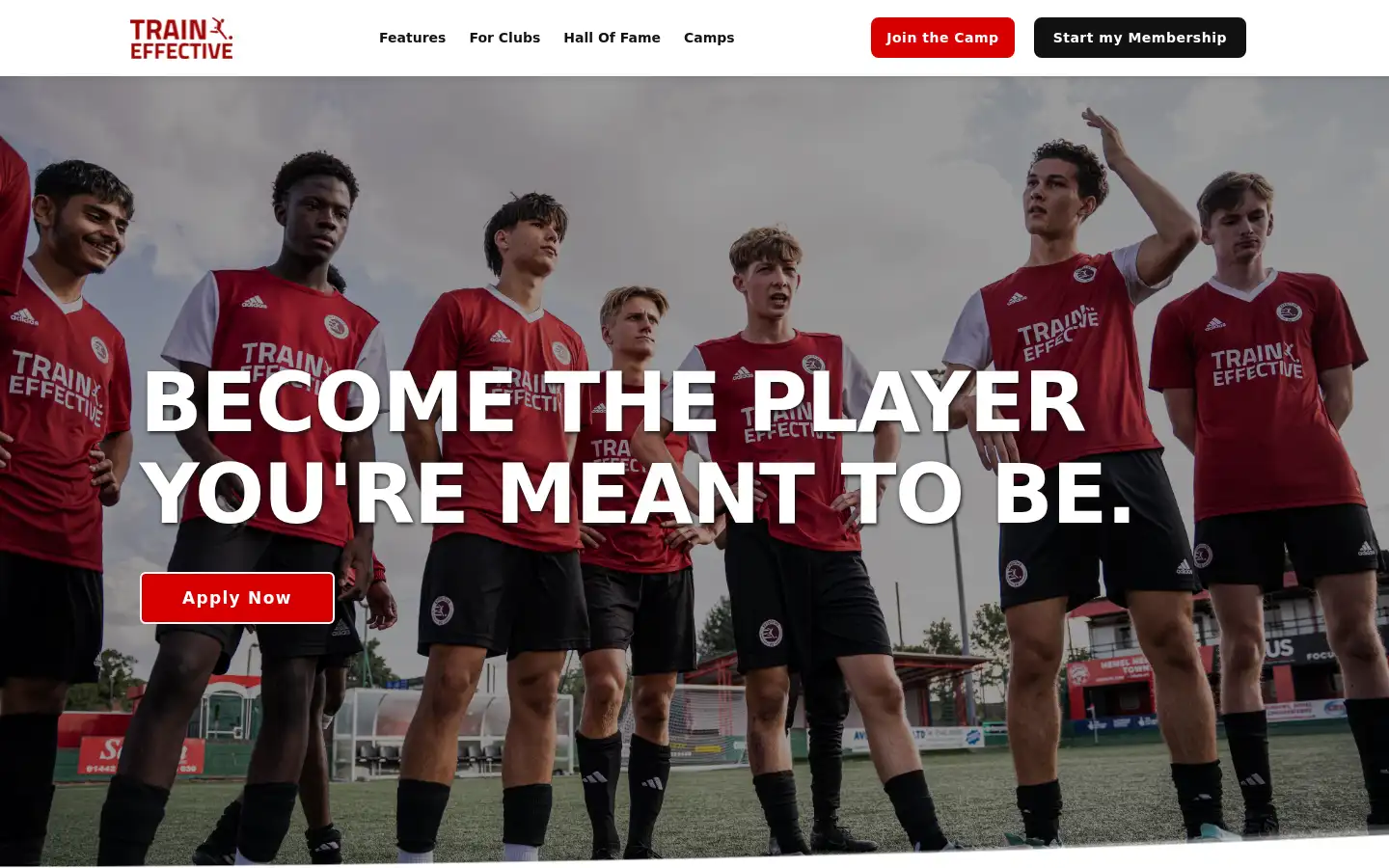 Screenshot of traineffective.com