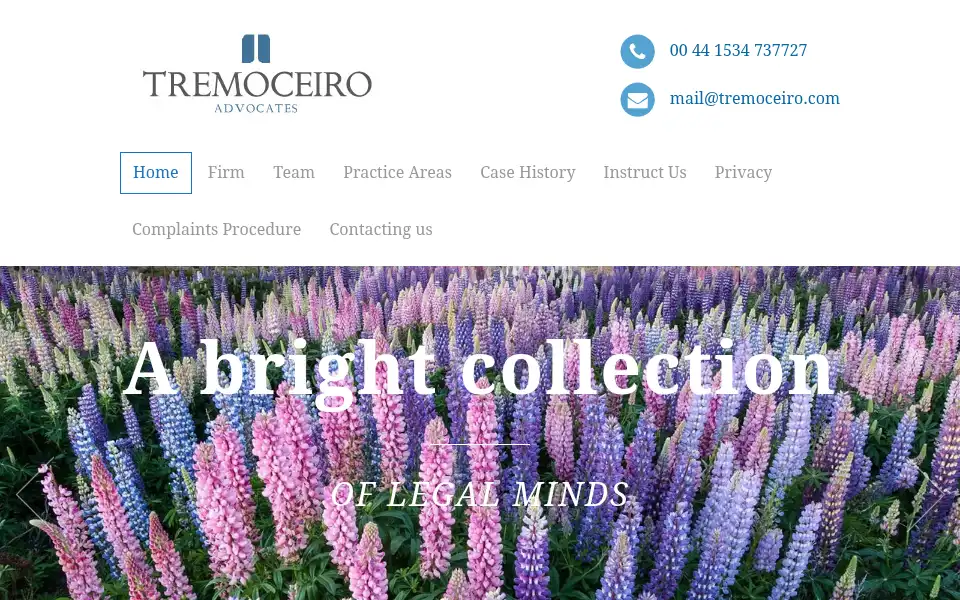 Screenshot of tremoceiro.com