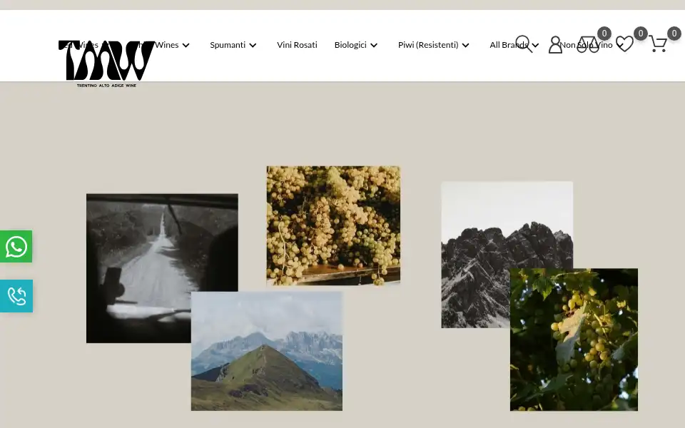 Screenshot of trentinoaltoadigewine.it