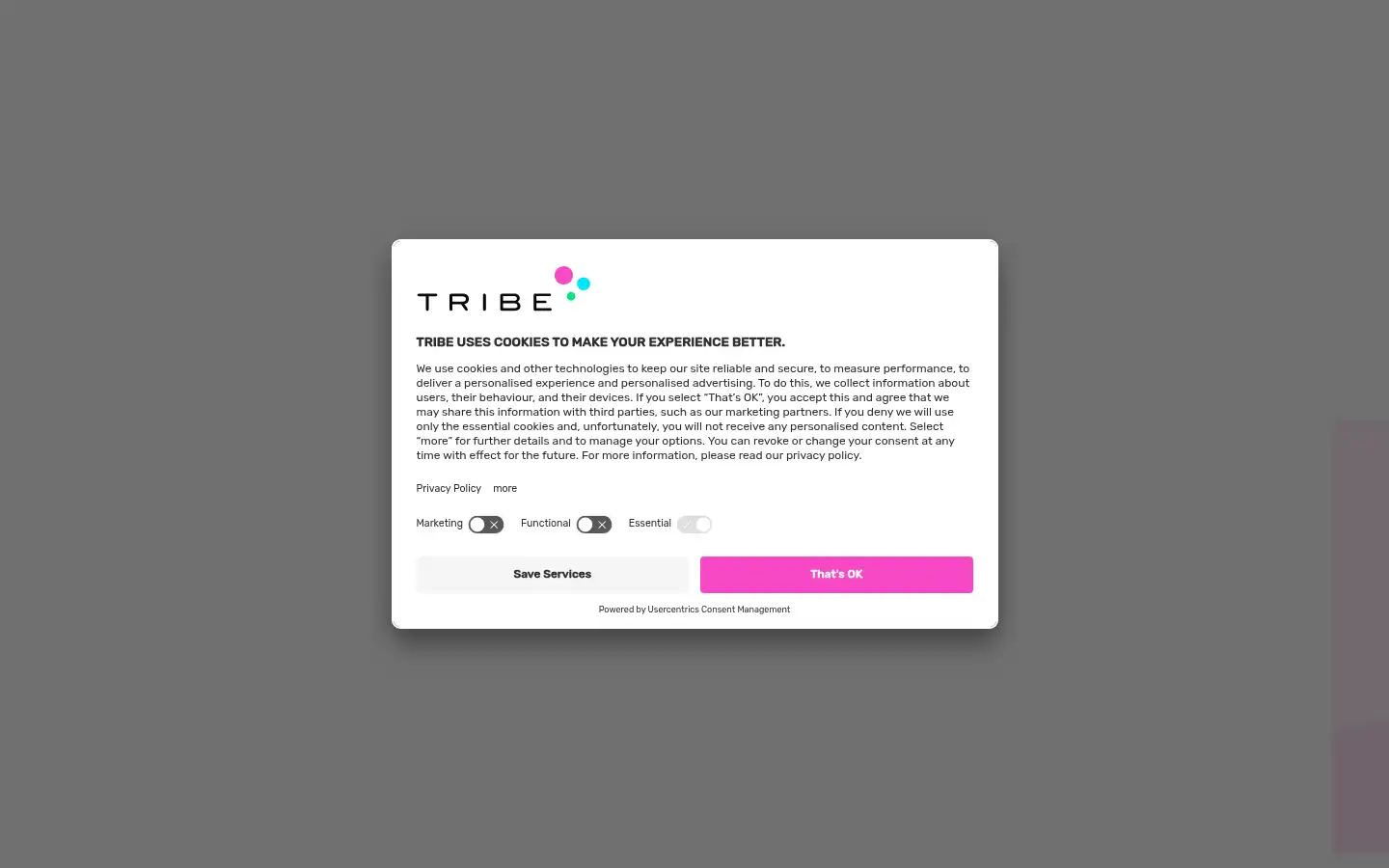 Screenshot of tribegroup.co