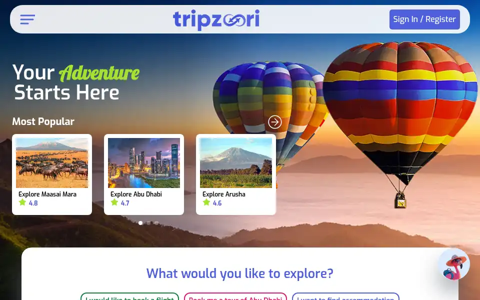 Screenshot of tripzoori.com
