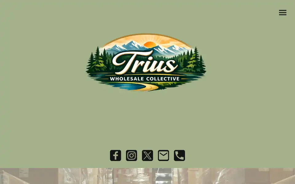 Screenshot of triuscollective.com