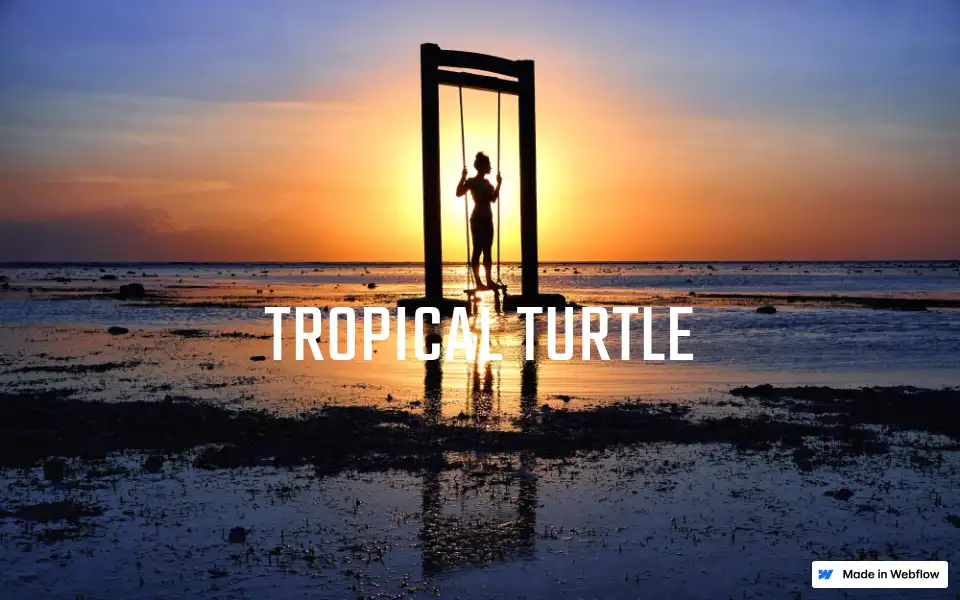 Screenshot of tropicalturtle.travel